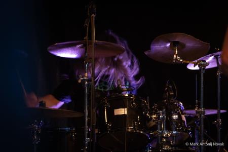 Fotogalerija nedelja, 11. avgust 2024 (32)